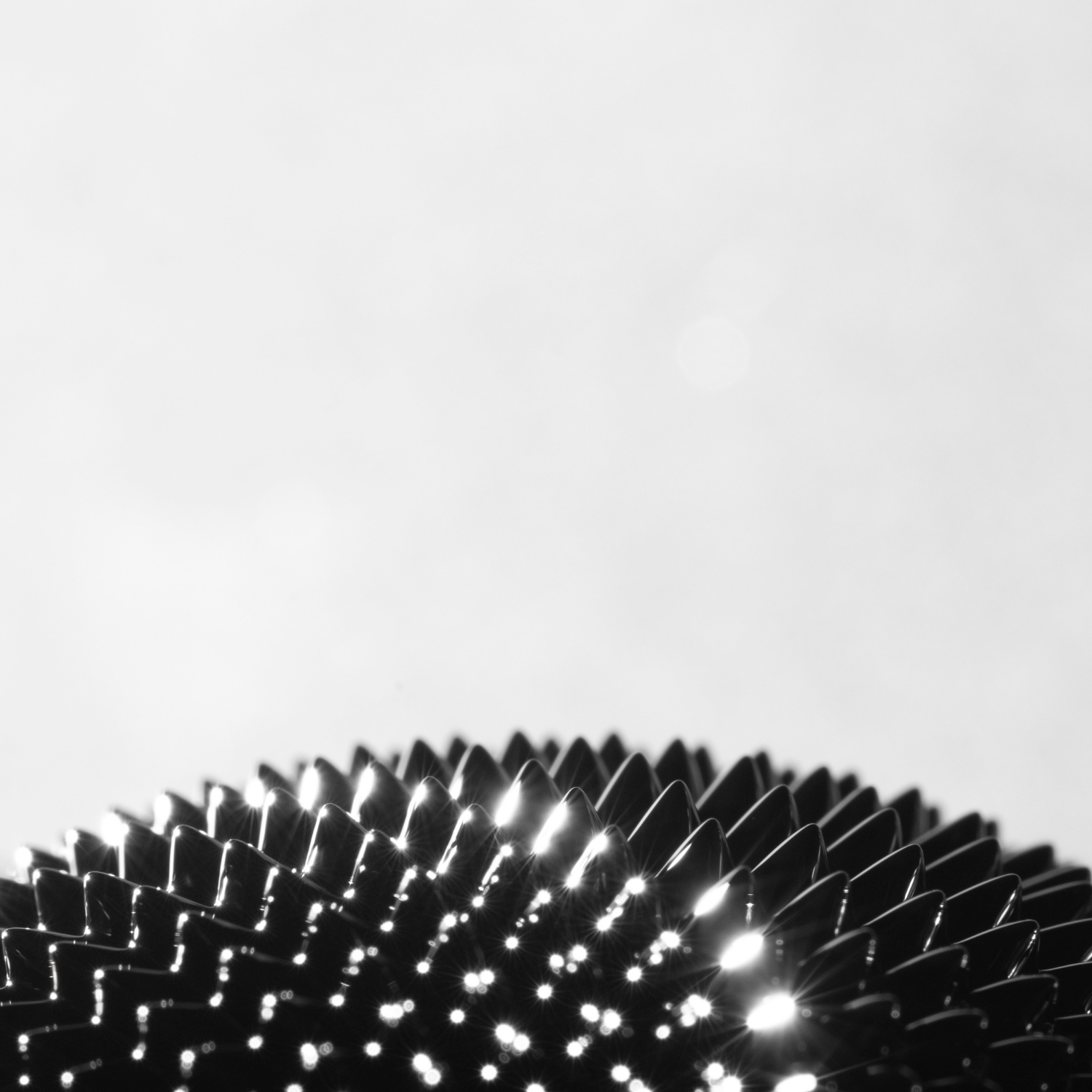 angelmmfoto